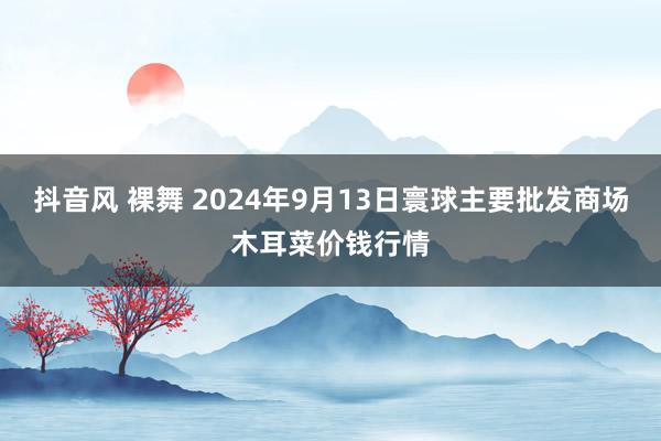 抖音风 裸舞 2024年9月13日寰球主要批发商场木耳菜价钱行情