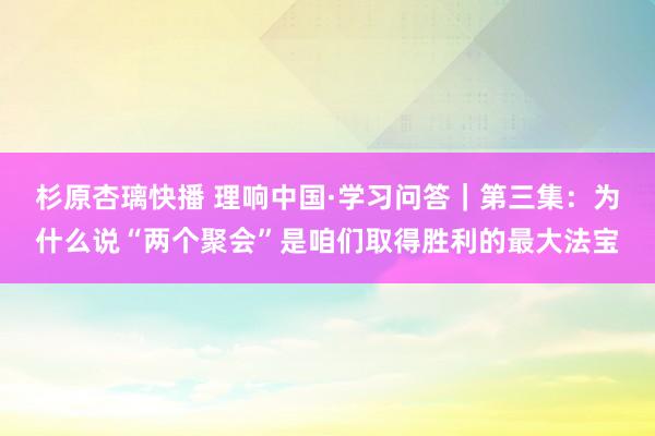 杉原杏璃快播 理响中国·学习问答｜第三集：为什么说“两个聚会”是咱们取得胜利的最大法宝