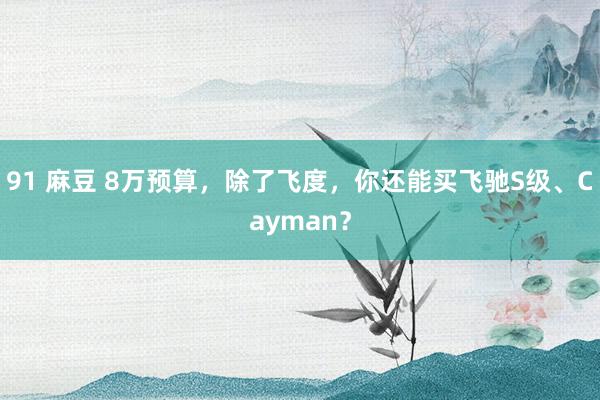 91 麻豆 8万预算，除了飞度，你还能买飞驰S级、Cayman？