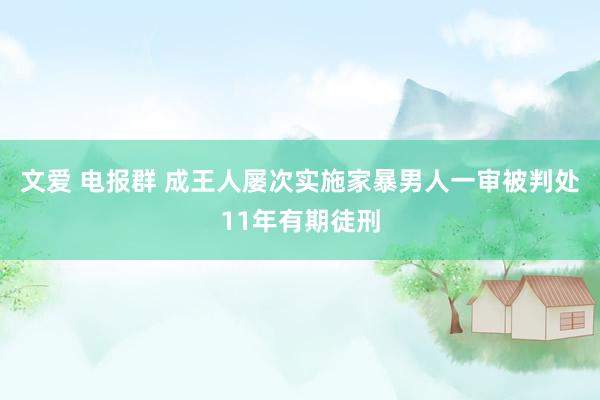 文爱 电报群 成王人屡次实施家暴男人一审被判处11年有期徒刑