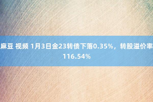 麻豆 视频 1月3日金23转债下落0.35%，转股溢价率116.54%