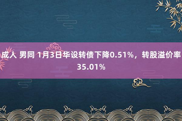 成人 男同 1月3日华设转债下降0.51%，转股溢价率35.01%