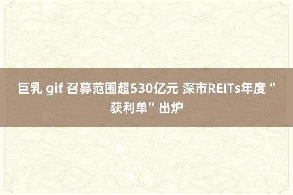 巨乳 gif 召募范围超530亿元 深市REITs年度“获利单”出炉