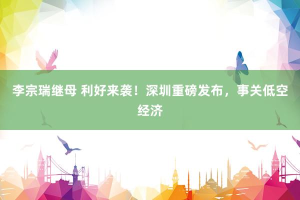 李宗瑞继母 利好来袭！深圳重磅发布，事关低空经济