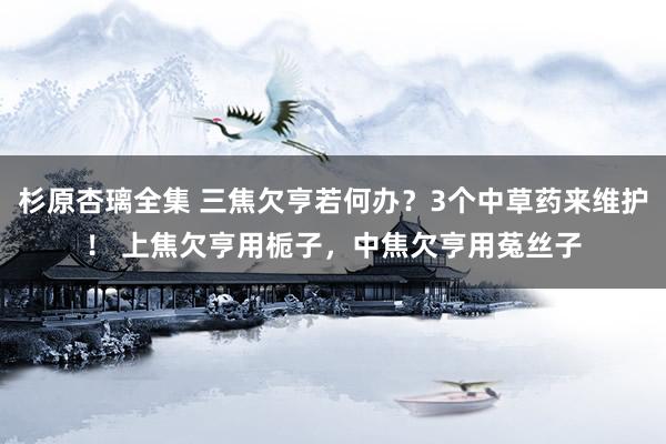 杉原杏璃全集 三焦欠亨若何办？3个中草药来维护！ 上焦欠亨用栀子，中焦欠亨用菟丝子